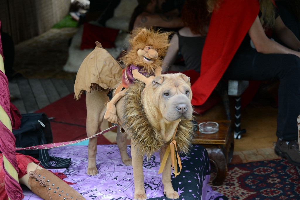 ../Images/Zaterdag Castlefest 2015 189.jpg